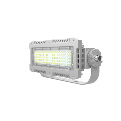 欧辉照明 (OHUIZAOMIN) OHSF9162-100W LED三防灯 套 1 付款后15天内发货